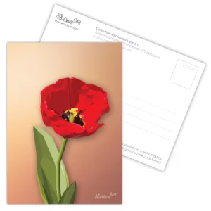 Carte postale artistique, Fleur, Tulipe rouge