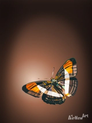 airnewart papillon dore artpolygonal ardeche
