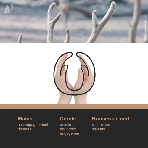 Concept et symboles du logo conçu pour une entreprise qui propose des formations et des ateliers de cuisine anti-gaspi en Ardèche - Identité visuelle pour Cohéva à Andance - Design par Aline Hernu - Studio AirNew Art