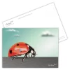 Carte postale d'une coccinelle vue de profil et en macro, peinture en polygones. Collection Art Polygonal / lowpoly, design géométrique sur le thème des animaux sauvages (insecte). Illustration par Aline Hernu - Studio AirNewArt. Impression en Ardèche sur carton certifié FSC, pour des forets durables, en cohérence avec la démarche éco responsables du Studio. Made in France