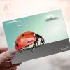 Carte postale en main d'une coccinelle vue de profil et en macro, peinture en polygones. Collection Art Polygonal / lowpoly, design géométrique sur le thème des animaux sauvages (insecte). Illustration par Aline Hernu - Studio AirNewArt. Impression en Ardèche sur carton certifié FSC, pour des forets durables, en cohérence avec la démarche éco responsables du Studio. Made in France