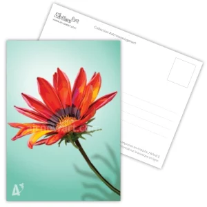 Carte postale, Fleur rouge, peinture géométrique