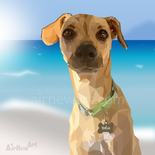Portrait animalier, Chien (Oatsie), USA