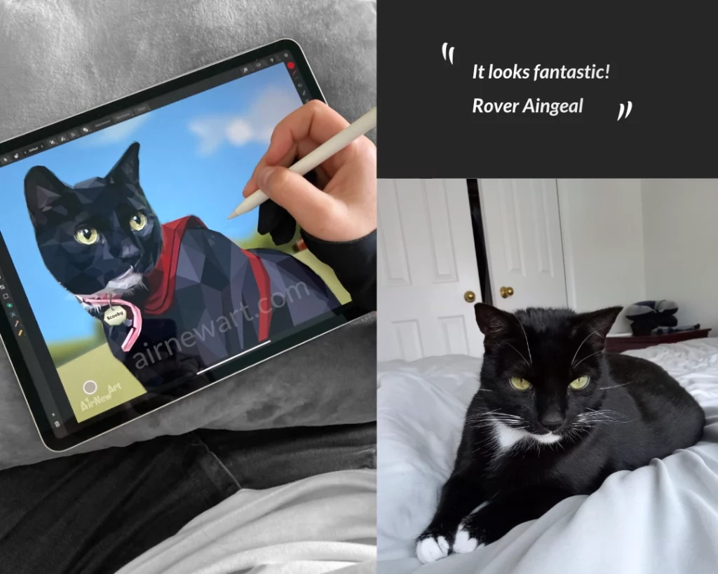 Photo de Sccoby (chat noir dont je suis en trian de créer le portrait personnalisé sur tablette graphique). Œuvre géométrique exclusive, créée par un humain, en manuel, garanti sans intelligence artificielle. Style du low poly, collection Art Polygonal par Aline Hernu, Studio AirNewArt. USA, 2024. Format carré