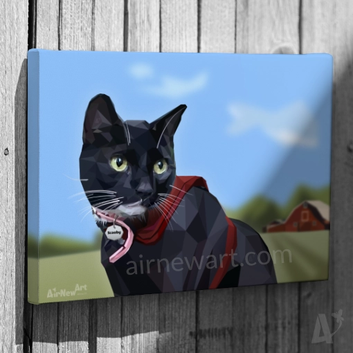 Portrait animalier – Chat noir (Scooby), USA