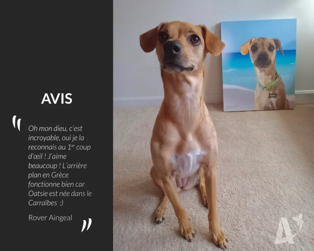 Avis sur le portrait animalier personnalisé d'un chien (Oatsie) beige aux yeux marrons assis sur la plage, devant une mer turquoise, avec des montagnes au loin. Chien assis à côté de son portrait, photo de Rover Aingeal. Œuvre géométrique dans le style du low poly, collection Art Polygonal par Aline Hernu, Studio AirNewArt. USA, 2023.