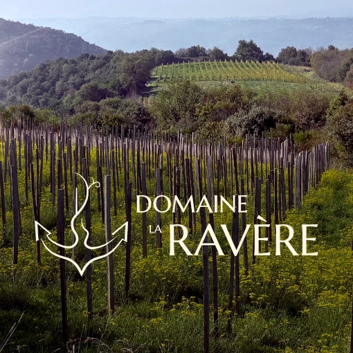 Logo – Artisan vigneron bio, Drôme Ardèche