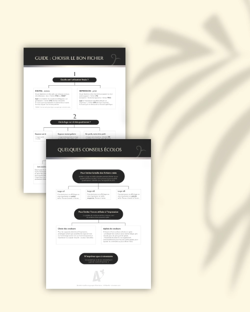 Guide pour choisir le bon fichier de logo (sous forme d'un arbre de décision) et Quelques conseils écolos. Dans le cadre de la conception d'une identité visuelle pour le Domaine La Ravère, Paul Brunet - artisan vigneron bio. Vignoble dans la Drôme et en Ardèche (région Auvergne Rhône Alpes). Design par Aline Hernu - Studio AirNewArt. 2025, tous droits réservés.